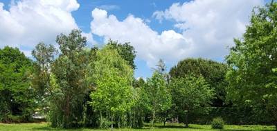 Terrain seul à Sainte-Foy-d'Aigrefeuille en Haute-Garonne (31) de 0 m² à vendre au prix de 148000€ - 2