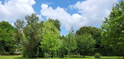 Terrain seul à Sainte-Foy-d'Aigrefeuille en Haute-Garonne (31) de 0 m² à vendre au prix de 148000€ - 3