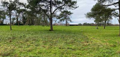 Terrain seul à Grand-Champ en Morbihan (56) de 796 m² à vendre au prix de 132500€ - 1