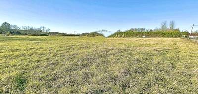 Terrain seul à Arsague en Landes (40) de 0 m² à vendre au prix de 24500€ - 3
