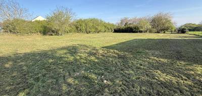 Terrain seul à Villeblevin en Yonne (89) de 0 m² à vendre au prix de 55000€ - 3