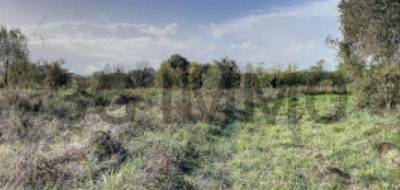 Terrain seul à Peyre en Landes (40) de 0 m² à vendre au prix de 55000€ - 2