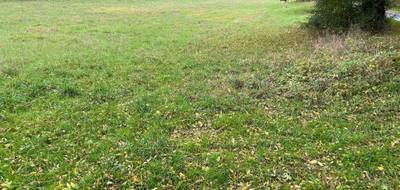 Terrain seul à Lesterps en Charente (16) de 0 m² à vendre au prix de 32400€ - 2