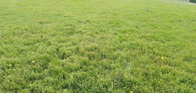 Terrain seul à Saint-Quintin-sur-Sioule en Puy-de-Dôme (63) de 0 m² à vendre au prix de 35000€ - 1