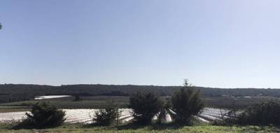 Terrain seul à Sanilhac-Sagriès en Gard (30) de 490 m² à vendre au prix de 117000€ - 1