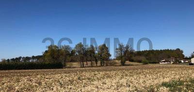 Terrain seul à Momuy en Landes (40) de 0 m² à vendre au prix de 27500€ - 2