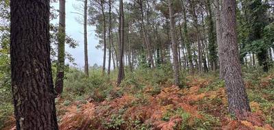 Terrain seul à Escalans en Landes (40) de 51575 m² à vendre au prix de 85000€ - 4
