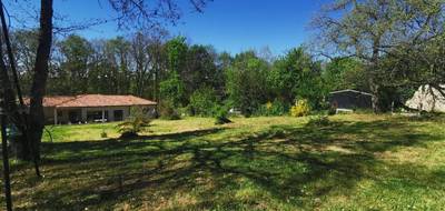 Terrain seul à La Salvetat-Saint-Gilles en Haute-Garonne (31) de 1000 m² à vendre au prix de 200000€ - 1