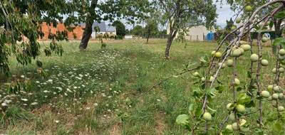Terrain seul à Baugé-en-Anjou en Maine-et-Loire (49) de 1300 m² à vendre au prix de 54000€ - 2