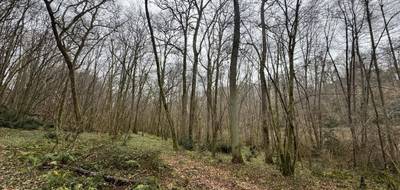 Terrain seul à Escalans en Landes (40) de 76385 m² à vendre au prix de 75000€ - 2