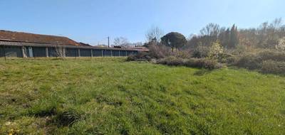 Terrain seul à Castres en Tarn (81) de 0 m² à vendre au prix de 40000€ - 2