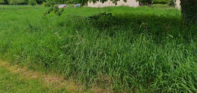 Terrain seul à Villenauxe-la-Grande en Aube (10) de 0 m² à vendre au prix de 34000€ - 3