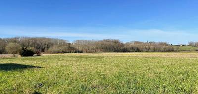 Terrain seul à Amou en Landes (40) de 4720 m² à vendre au prix de 55000€ - 4