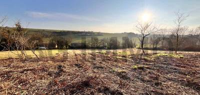 Terrain seul à Saint-Germain-sur-Vienne en Indre-et-Loire (37) de 0 m² à vendre au prix de 25000€ - 1