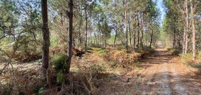 Terrain seul à Barbaste en Lot-et-Garonne (47) de 0 m² à vendre au prix de 29000€ - 3