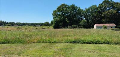 Terrain seul à Saint-Gein en Landes (40) de 0 m² à vendre au prix de 40000€ - 1