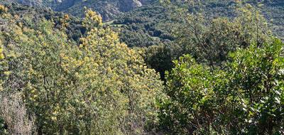 Terrain seul à Ocana en Corse-du-Sud (2A) de 0 m² à vendre au prix de 155000€ - 3