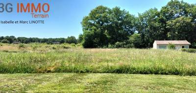 Terrain seul à Saint-Gein en Landes (40) de 0 m² à vendre au prix de 40000€ - 3