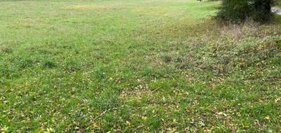 Terrain seul à Lesterps en Charente (16) de 0 m² à vendre au prix de 32400€ - 2