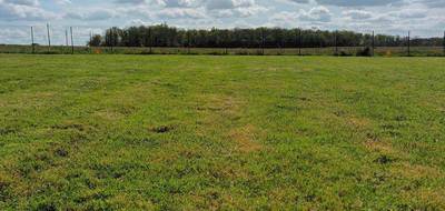 Terrain seul à Châtillon-la-Palud en Ain (01) de 0 m² à vendre au prix de 95000€ - 3