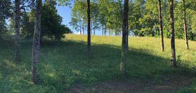 Terrain seul à Hagetmau en Landes (40) de 8847 m² à vendre au prix de 60000€ - 3
