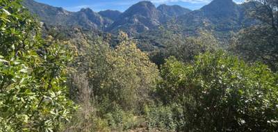 Terrain seul à Ocana en Corse-du-Sud (2A) de 1988 m² à vendre au prix de 155000€ - 1