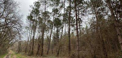 Terrain seul à Barbaste en Lot-et-Garonne (47) de 0 m² à vendre au prix de 37500€ - 4