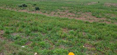 Terrain seul à Champigny en Rochereau en Vienne (86) de 892 m² à vendre au prix de 20900€ - 2