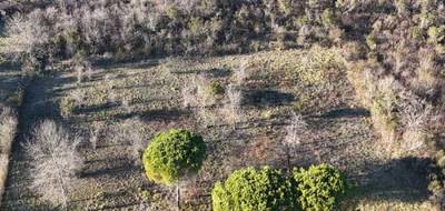 Terrain seul à Albi en Tarn (81) de 12674 m² à vendre au prix de 139000€ - 4