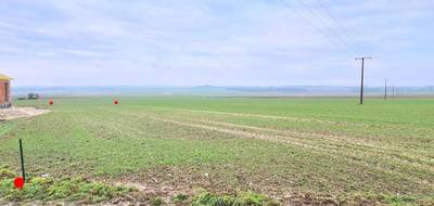 Terrain seul à Haute-Avesnes en Pas-de-Calais (62) de 0 m² à vendre au prix de 94000€ - 3