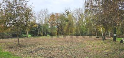 Terrain seul à Lachapelle-aux-Pots en Oise (60) de 0 m² à vendre au prix de 54000€ - 3
