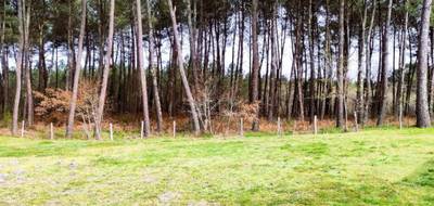 Terrain seul à Saint-Symphorien en Gironde (33) de 1025 m² à vendre au prix de 99500€ - 1
