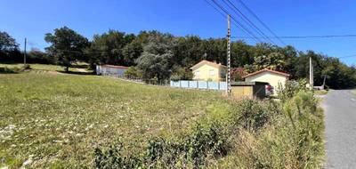 Terrain seul à Graulhet en Tarn (81) de 5277 m² à vendre au prix de 80000€ - 3
