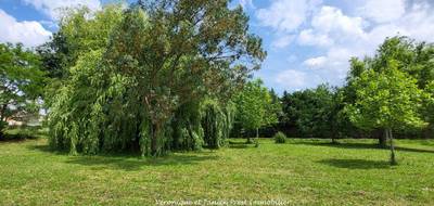 Terrain seul à Sainte-Foy-d'Aigrefeuille en Haute-Garonne (31) de 700 m² à vendre au prix de 148000€ - 3
