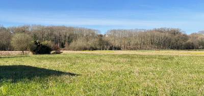 Terrain seul à Amou en Landes (40) de 4720 m² à vendre au prix de 55000€ - 3