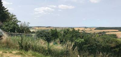 Terrain seul à Molleville en Aude (11) de 1445 m² à vendre au prix de 65000€ - 3