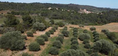 Terrain seul à Montouliers en Hérault (34) de 6530 m² à vendre au prix de 32000€ - 1