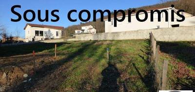 Terrain seul à Bellegarde-en-Forez en Loire (42) de 0 m² à vendre au prix de 49000€ - 1