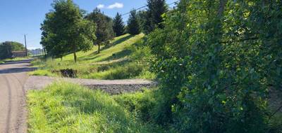 Terrain seul à Hagetmau en Landes (40) de 8847 m² à vendre au prix de 60000€ - 2