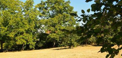 Terrain seul à Saint-Médard-en-Forez en Loire (42) de 0 m² à vendre au prix de 124500€ - 3