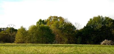 Terrain seul à Morganx en Landes (40) de 3160 m² à vendre au prix de 27500€ - 1