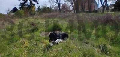 Terrain seul à Plancy-l'Abbaye en Aube (10) de 0 m² à vendre au prix de 32000€ - 2