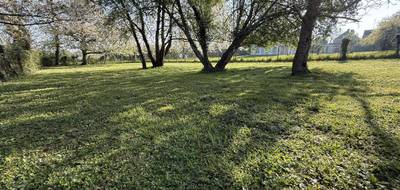 Terrain seul à Villeblevin en Yonne (89) de 0 m² à vendre au prix de 55000€ - 4