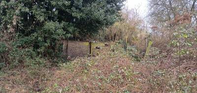 Terrain seul à Tuffalun en Maine-et-Loire (49) de 470 m² à vendre au prix de 26000€ - 4