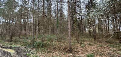 Terrain seul à Barbaste en Lot-et-Garonne (47) de 0 m² à vendre au prix de 37500€ - 3