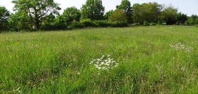 Terrain seul à L'Isle-Jourdain en Gers (32) de 0 m² à vendre au prix de 139000€ - 1