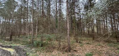 Terrain seul à Barbaste en Lot-et-Garonne (47) de 33570 m² à vendre au prix de 37500€ - 3
