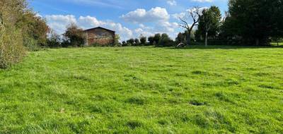 Terrain seul à Le Nouvion-en-Thiérache en Aisne (02) de 4725 m² à vendre au prix de 60000€ - 4