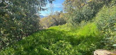 Terrain seul à Ocana en Corse-du-Sud (2A) de 0 m² à vendre au prix de 135000€ - 4