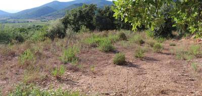 Terrain seul à Collobrières en Var (83) de 0 m² à vendre au prix de 172000€ - 3